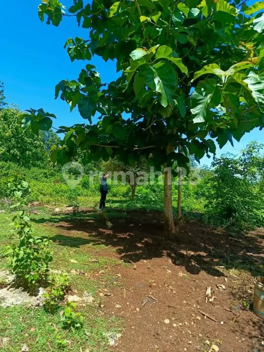 Dijual Tanah di Jimbaran Ãâ¬" Jl. Raffles - Image 4 of 4