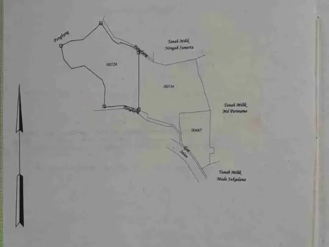jual tanah murah  16 are di Pangkung Paruk Buleleng - Image 4 of 4