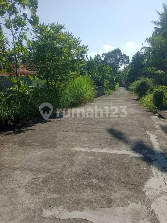 For Sale Tanah View Gunung Close To Central Lovina - Image 4 of 4