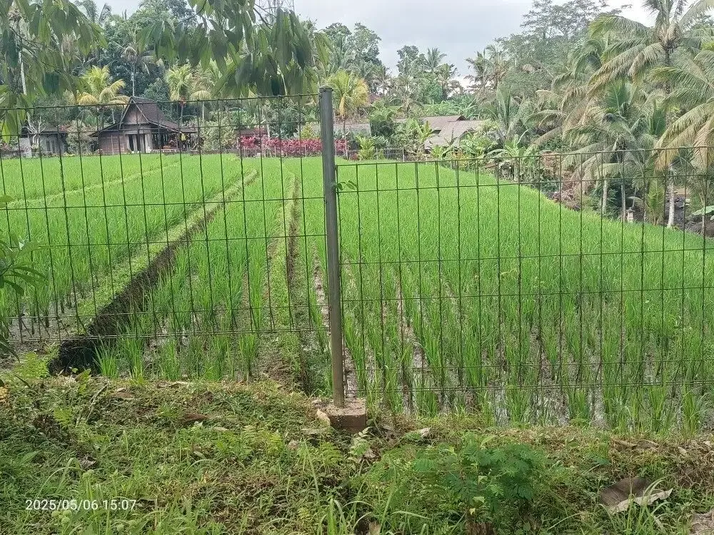 Tanah View Sawah dan Sungai dekat Villa Bali Lush dan Green Retreat - Image 2 of 10