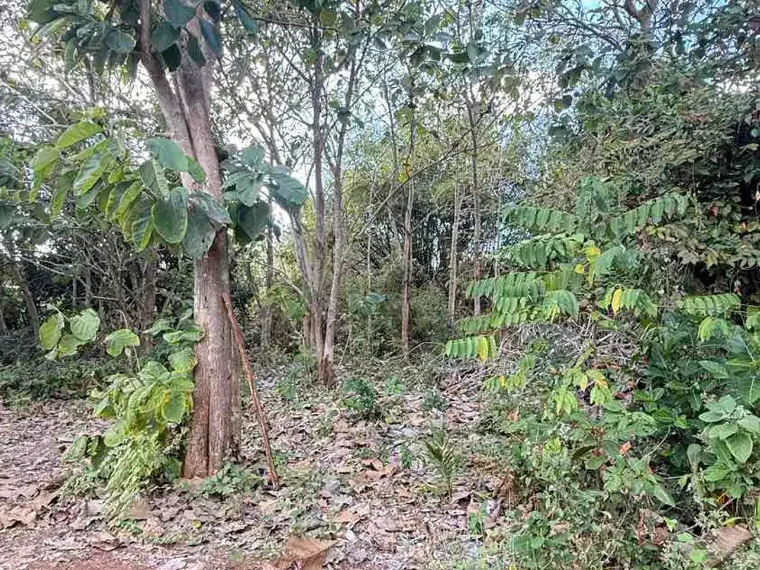 DIJUAL TANAH 2 MENIT KE KAMPUS UNUD JIMBARAN – COCOK UNTUK KOS & GUESTHOUSE - Image 5 of 10