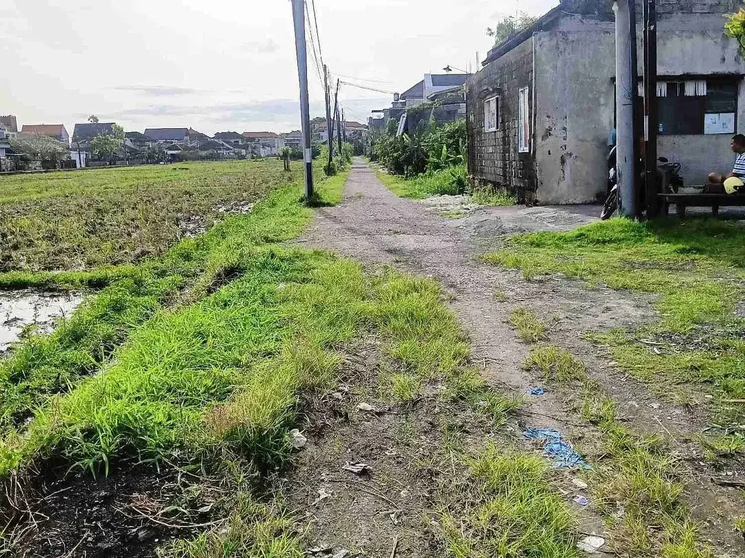 Jual Tanah 162meter ( Tinggal 1 kavling) Lokasi Jl Pura Demak, Denpasar, area Strategis & Tidak Banjir Hadap Selatan & Zona Kuning View Sawah.od - Image 2 of 8