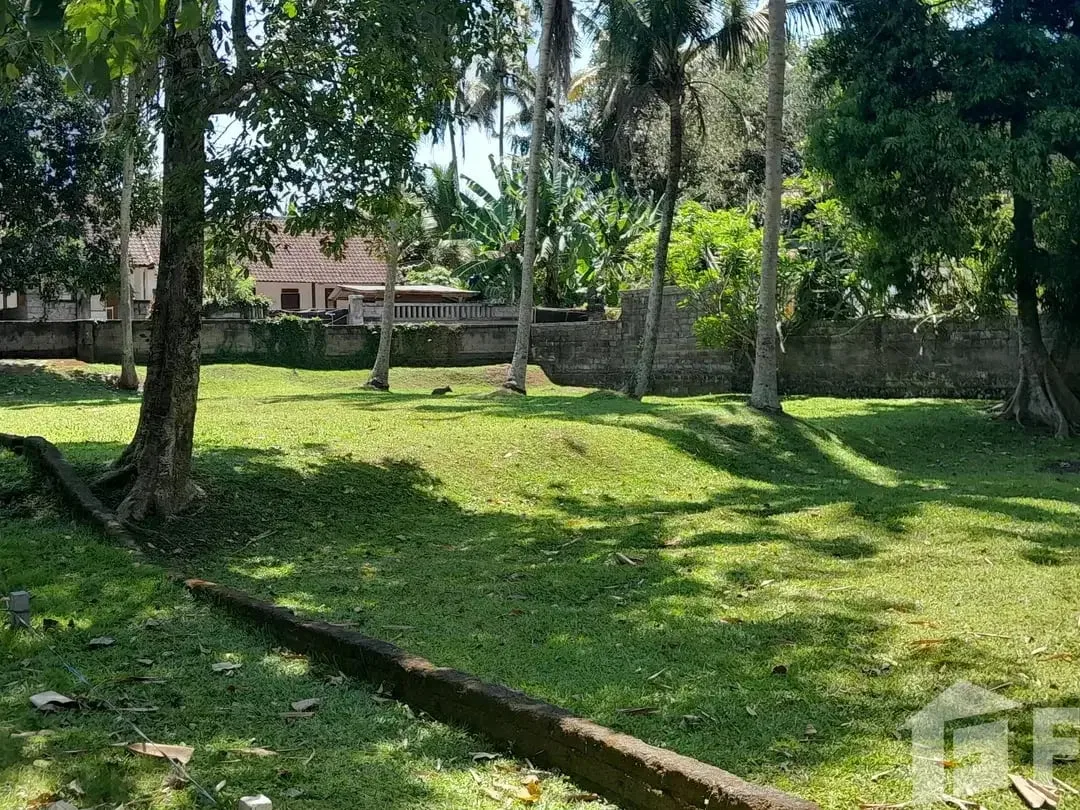 Land for sale in Ubud, Bali - Image 5 of 8
