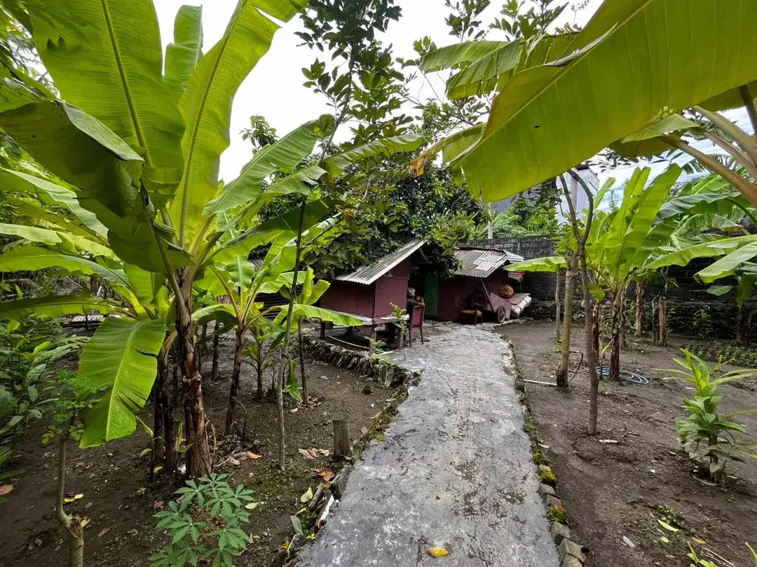 Tanah raya puputan renon denpasar - Image 9 of 10