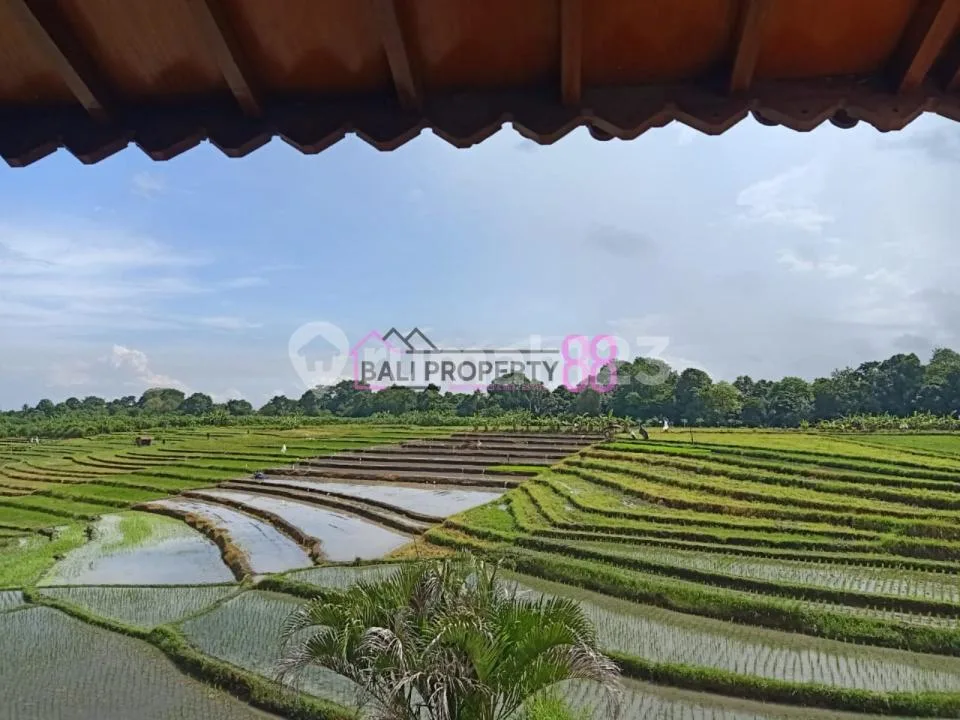 Villa Mewah dengan View Sawah Eksotis di Tiying Tutul Pererenan - Image 4 of 4