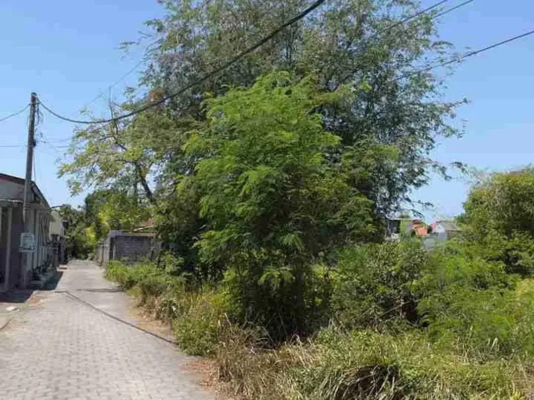 Dijual Tanah 592m2 bisa potong roti di jimbaran - Image 5 of 10
