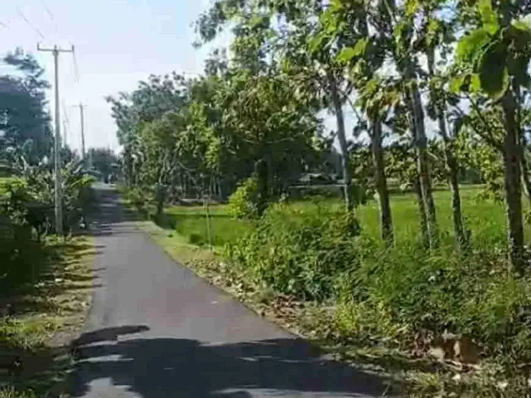 LAND FOR SALE – CUPEL JEMBRANA - Image 1 of 4