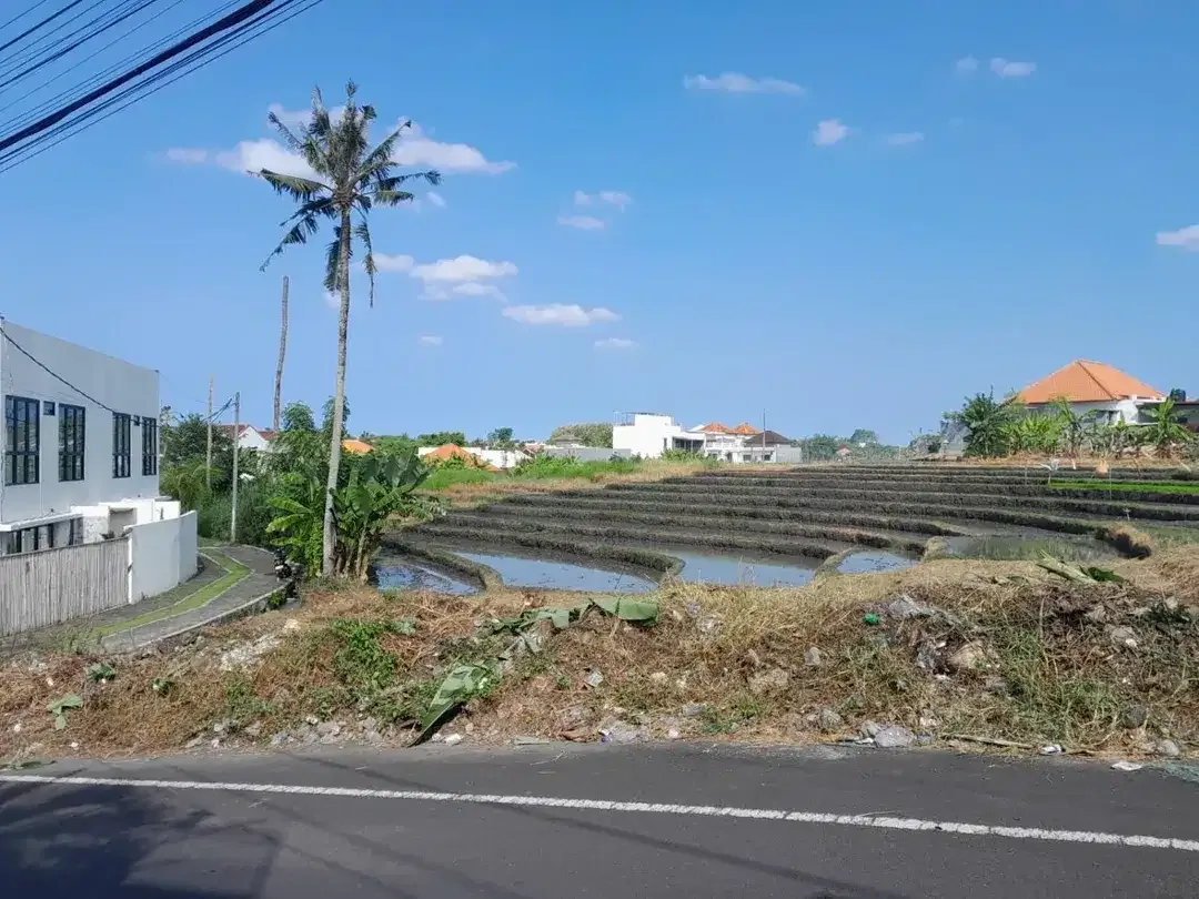 Tanah View Sawah Kayu Tulang Utara Canggu Bali - Image 9 of 10