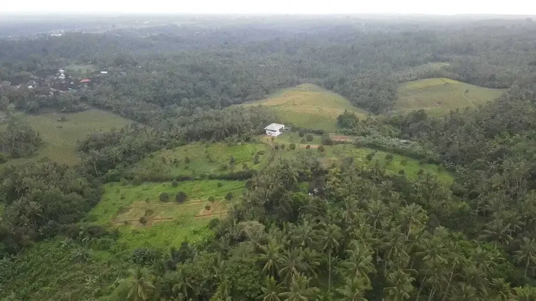 Kebun Durian View Sawah Terasering di Tabanan - Image 1 of 10