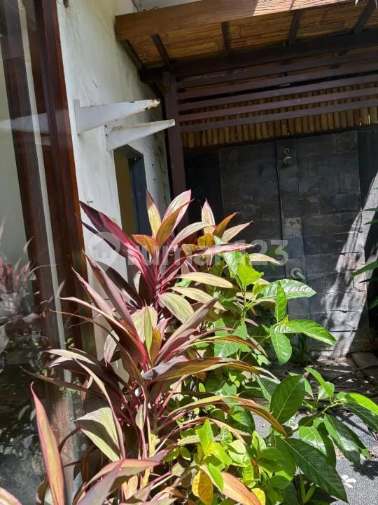 Rumah 14,15 Are Komersial SHM Dijual di Jalan Bypass Sanur - Cocok Hotel, Klinik & Ruko - Image 4 of 4