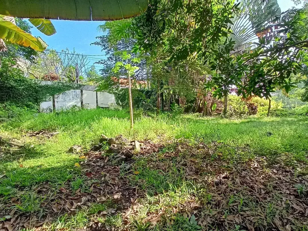 Freehold - Riverside Land for Sale in Prime Canggu, Bali Location - Image 8 of 8