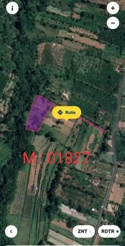 Dijual Tanah Payangan Kerta Untuk Retreat atau Kebun Organik - Image 2 of 7