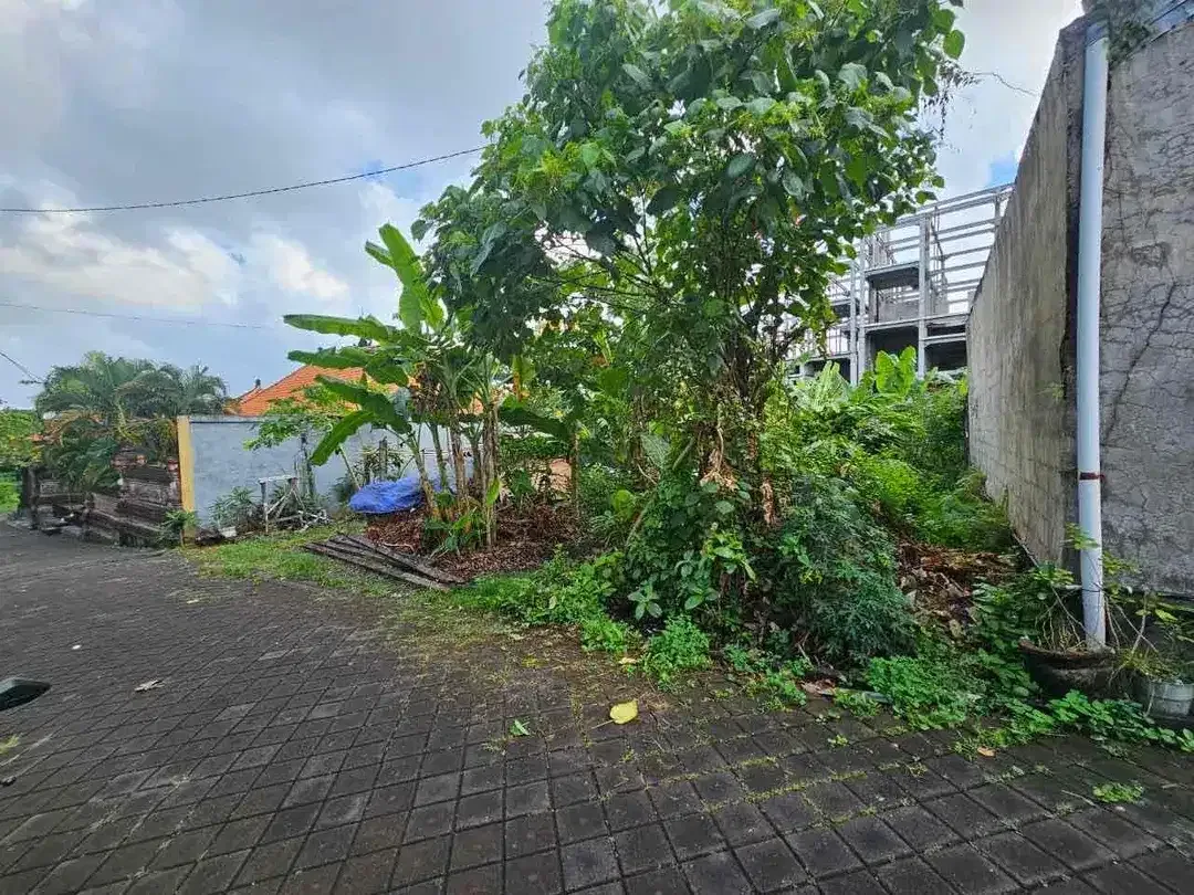 Dijual tanah komersil canggu brawa
Dekat ke fins beach/baked/mild & madu dll - Image 4 of 6