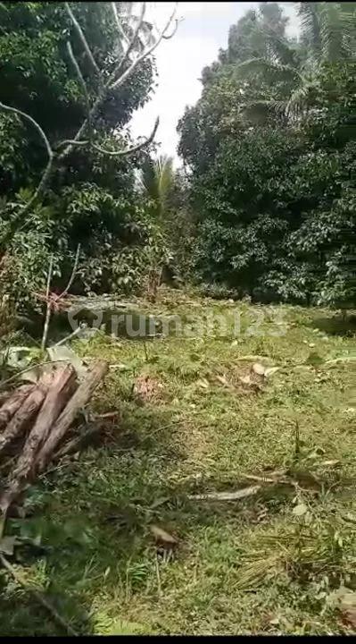 Dijual Lahan Ubud - Image 3 of 4