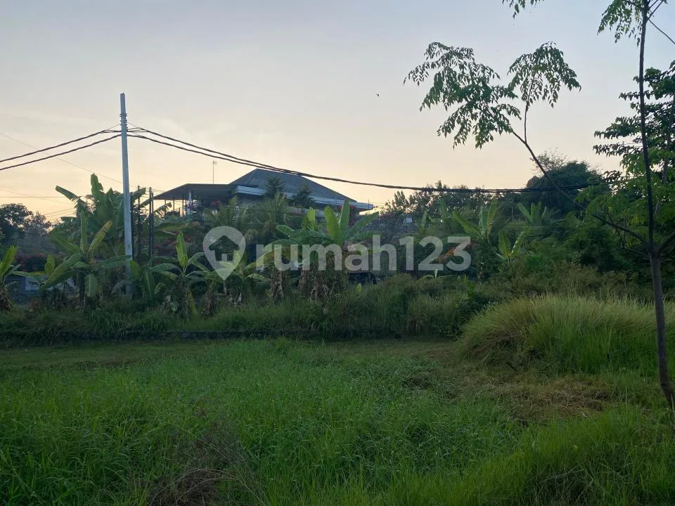 Strategic 370 MÂ² Freehold Land For Sale In Lovina - Image 2 of 4