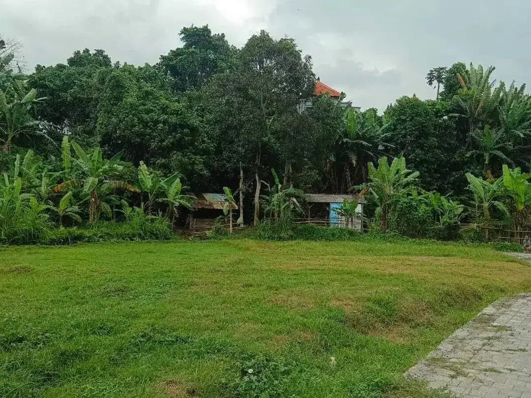 Land for sale in Kediri, Bali - Image 1 of 10