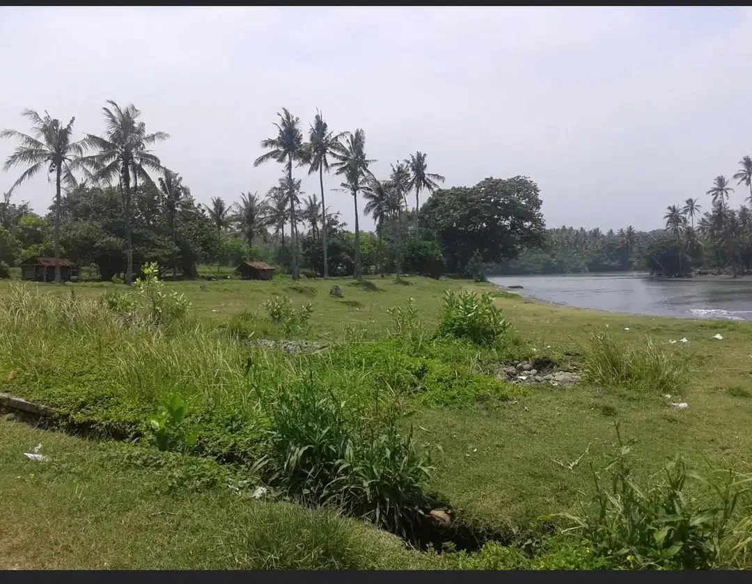 DIJUAL TANAH LOS PANTAI BERABAN DAN SUNGAI DI TABANAN - Image 3 of 10