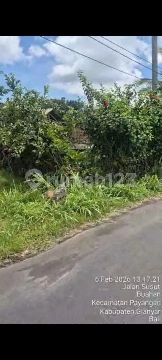 Jual Tanah di Payangan -Ubud - Image 4 of 4