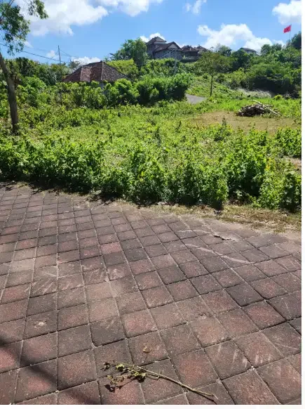 Land for lease at ungasan - Image 1 of 10