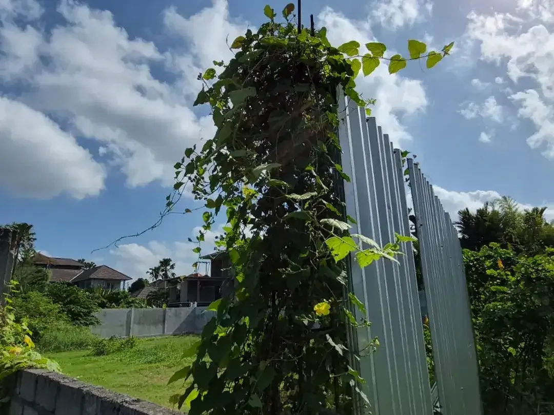 Freehold - Exclusive Riverside Land in Prime Pererenan, Canggu - Walking Distance to Echo Beach, Sunset Coast & Surfing Lifestyle, Bali - Image 5 of 10