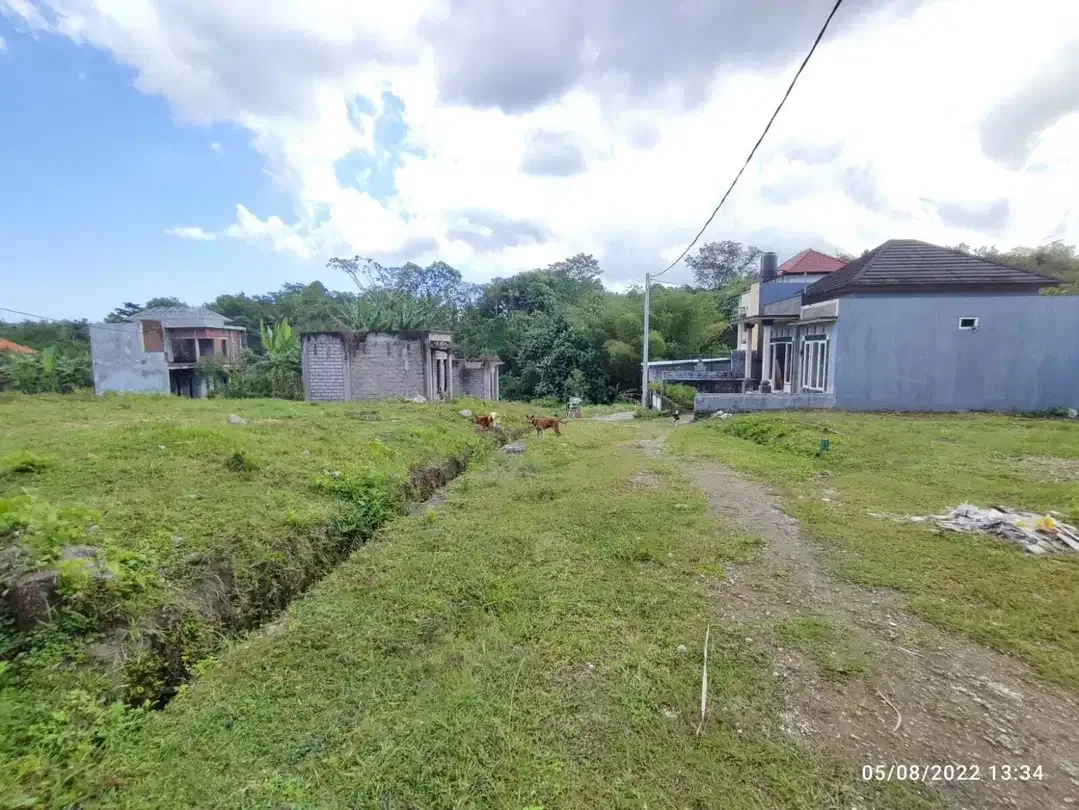 Dijual Tanah Kavling di Denbantas Tabanan - Image 5 of 10