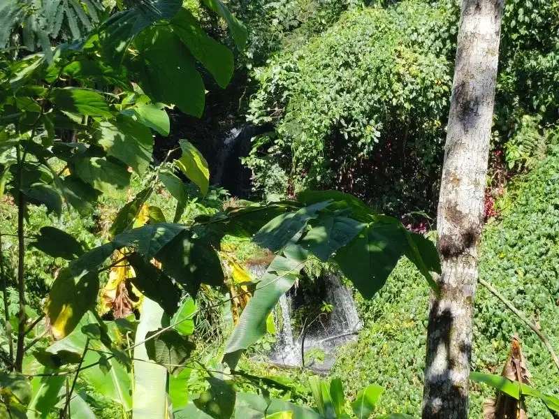 Dijual tanah murah dengan air terjun di bali - Image 2 of 10