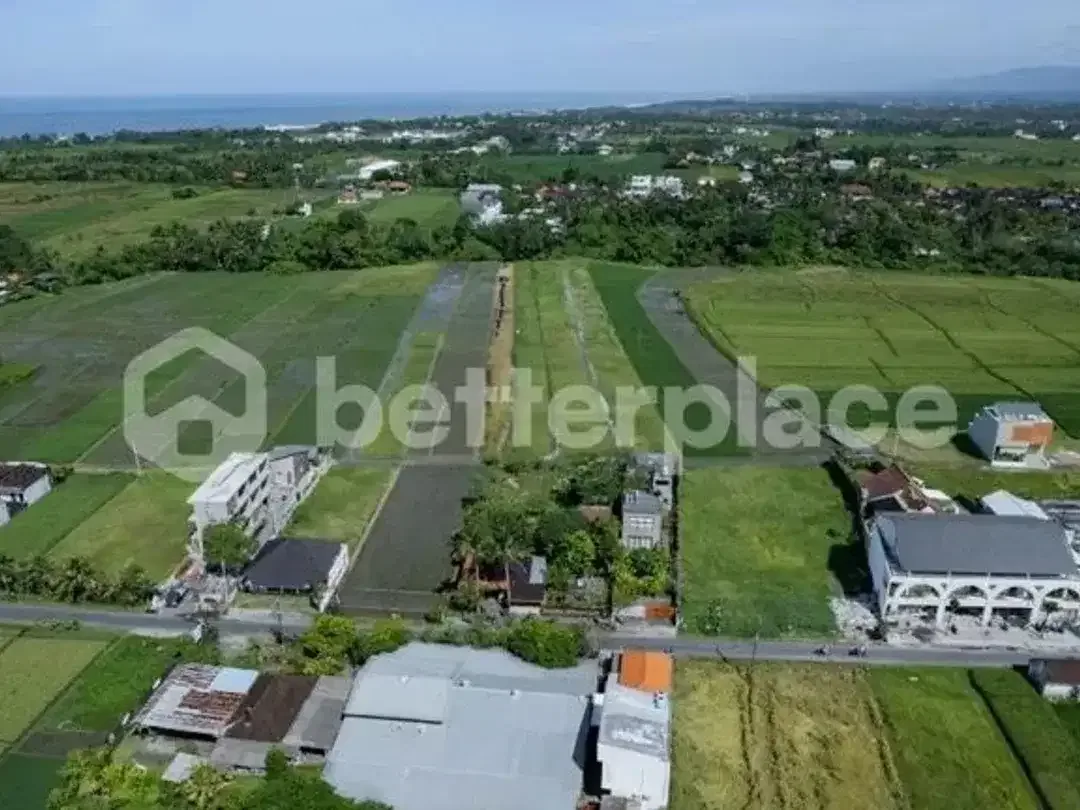 A Rare Coastal Investment in Kedungu: Prime Leasehold 5.3 are Land with Rice Field Views Just Moments from the Beach - Image 4 of 7
