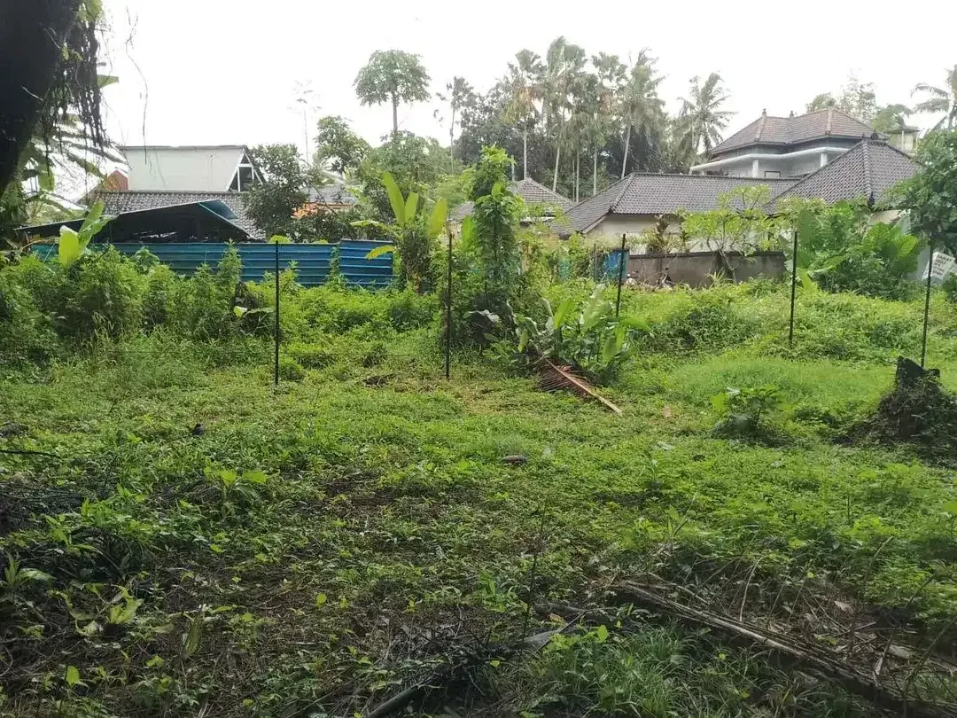 Tanah di Singakerta, Ubud, Bali!
Lokasi: setelah jembatan Nyuh Kuning, Ubud - Image 5 of 5