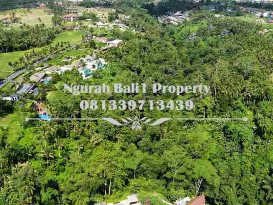 Over Kontrak  Luas Tanah 69,38 Are View Jungle dan Tebing di Ubud - Image 3 of 7