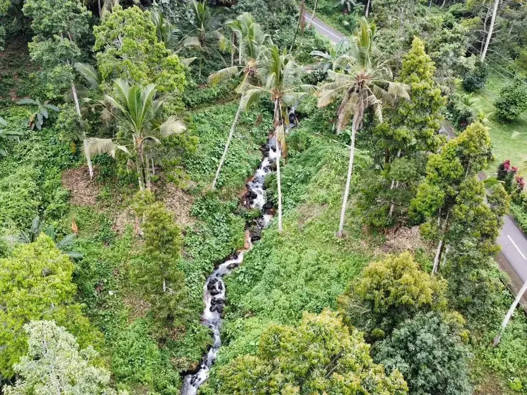 Tanah Langka Tabanan Selemadeg - Image 7 of 10
