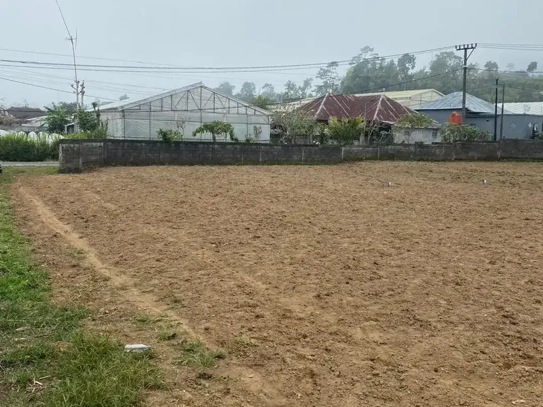 TANAH KAVLING DIJUAL – PANCASARI, BEDUGUL - Image 4 of 5