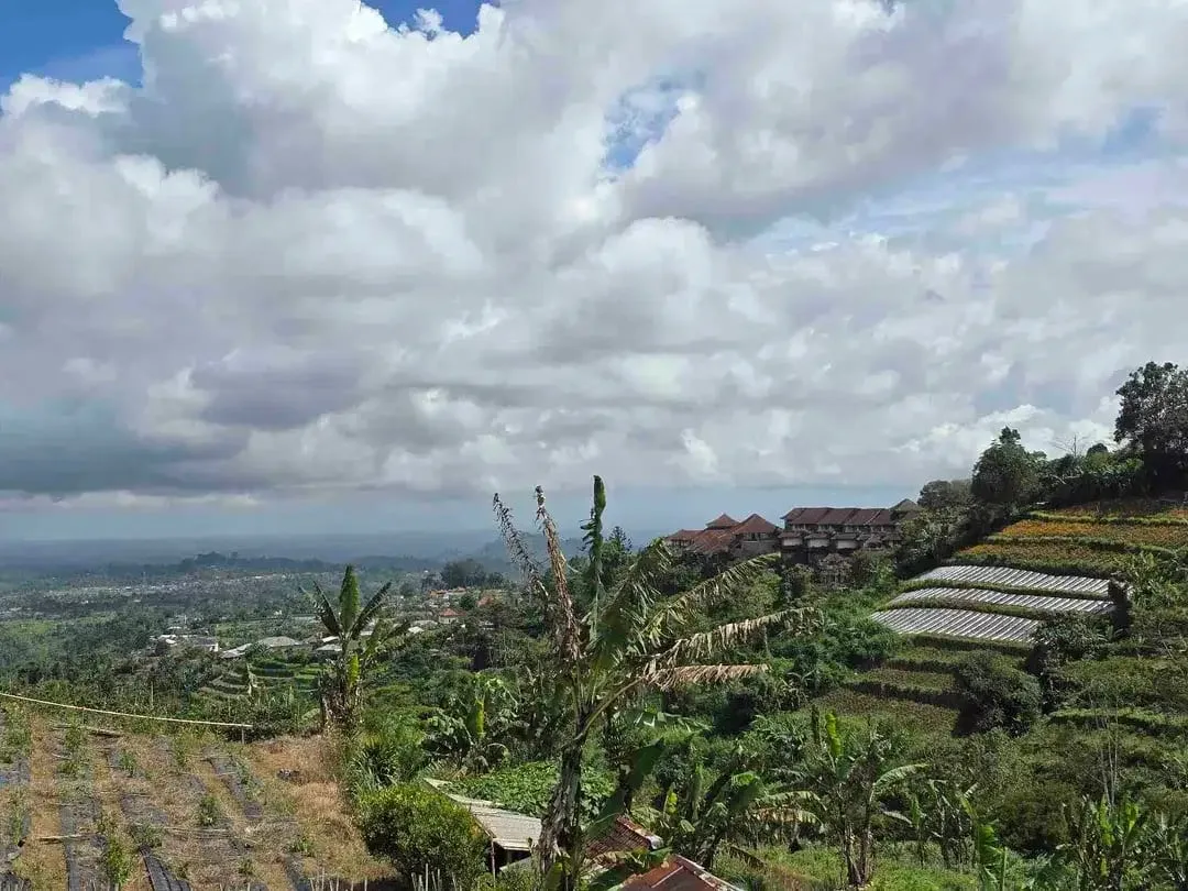 Dijual tanah murah view istimewa gunung lembah dan perkotaan di bedugul bali - Image 6 of 10