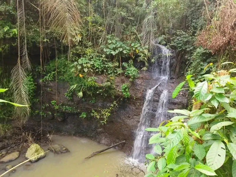 dijual tanah kebun durian dan manggis dengan air terjun di bali - Image 1 of 10