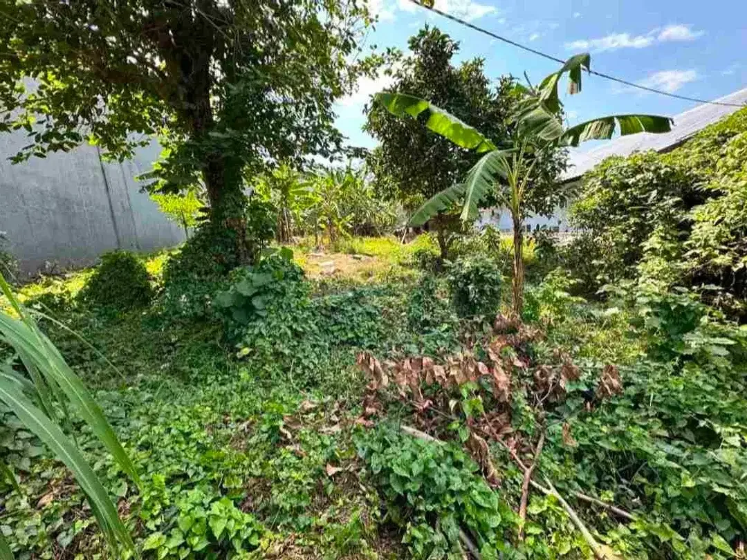 Di jual tanah luas 495 M2 di jalan cargo indah selatan Citraland Denpasar - Image 5 of 10