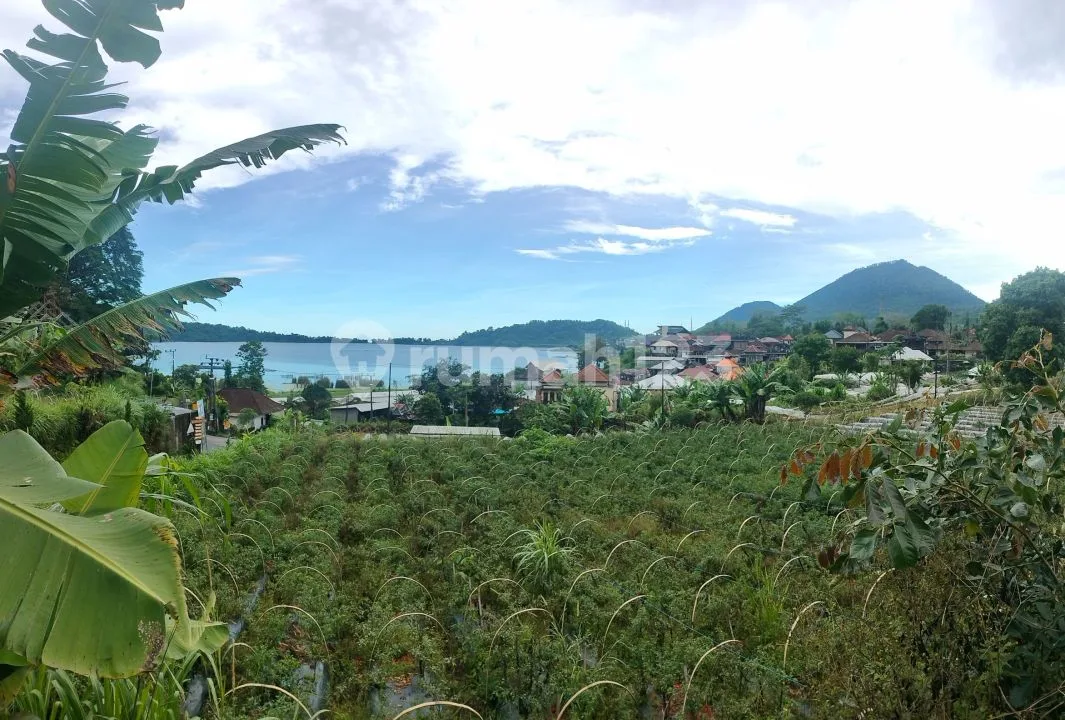 Premium Hook 1000mÂ² Tanah View Danau Beratan Bedugul Bali - Image 2 of 4