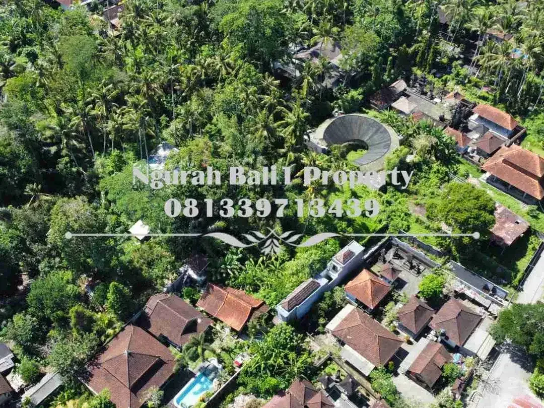 Tanah Premium Disewakan Luas 16,35 Are Kawasan Villa Lokasi Deket Pelangi School Ubud - Image 2 of 8