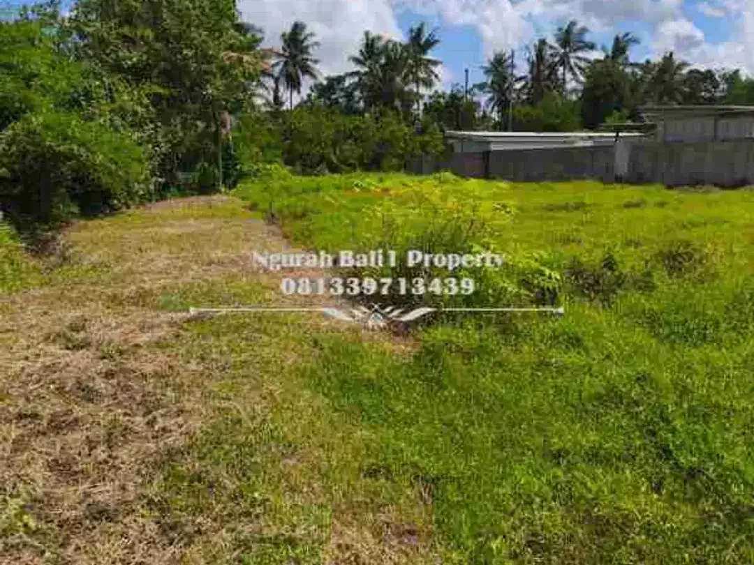 Murah Tanah Disewakan Luas 750 m2 Kawasan Villa di Ubud - Image 5 of 6