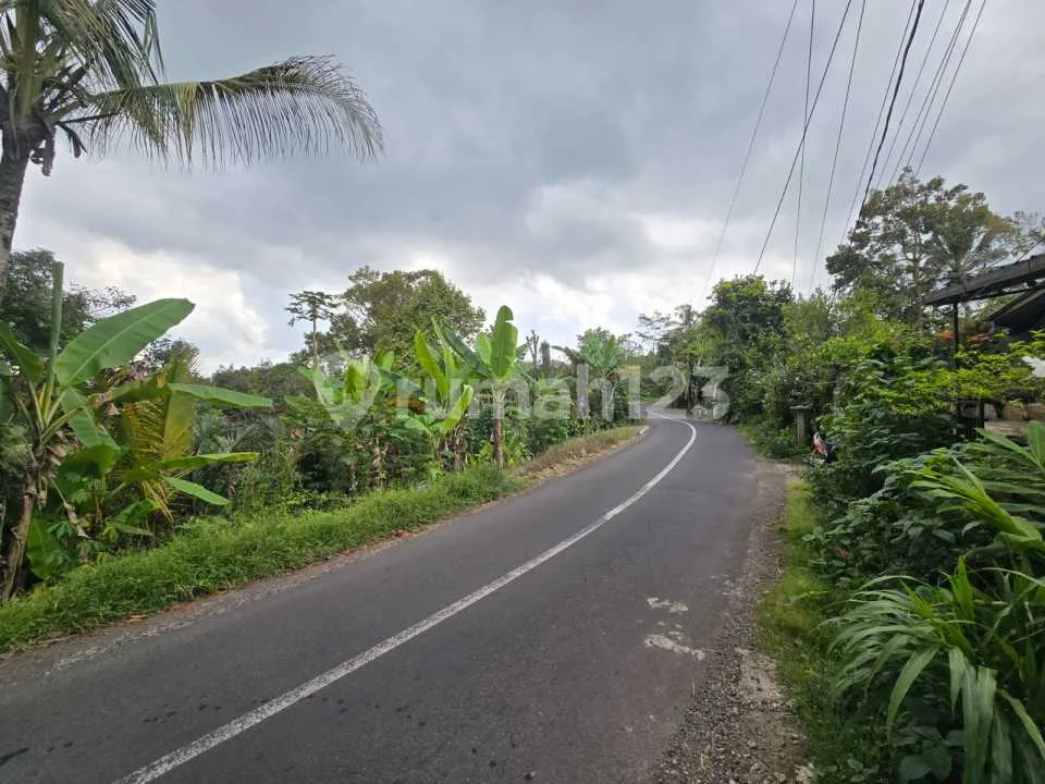 Dijual Tanah Kebun Kopi Pr - Image 2 of 4