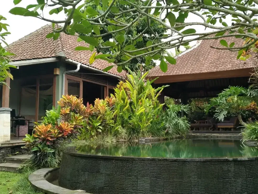 2 Bedroom Leasehold Villa for Sale with Lush Green Views - 10 Minutes from Ubud Center - Image 3 of 10