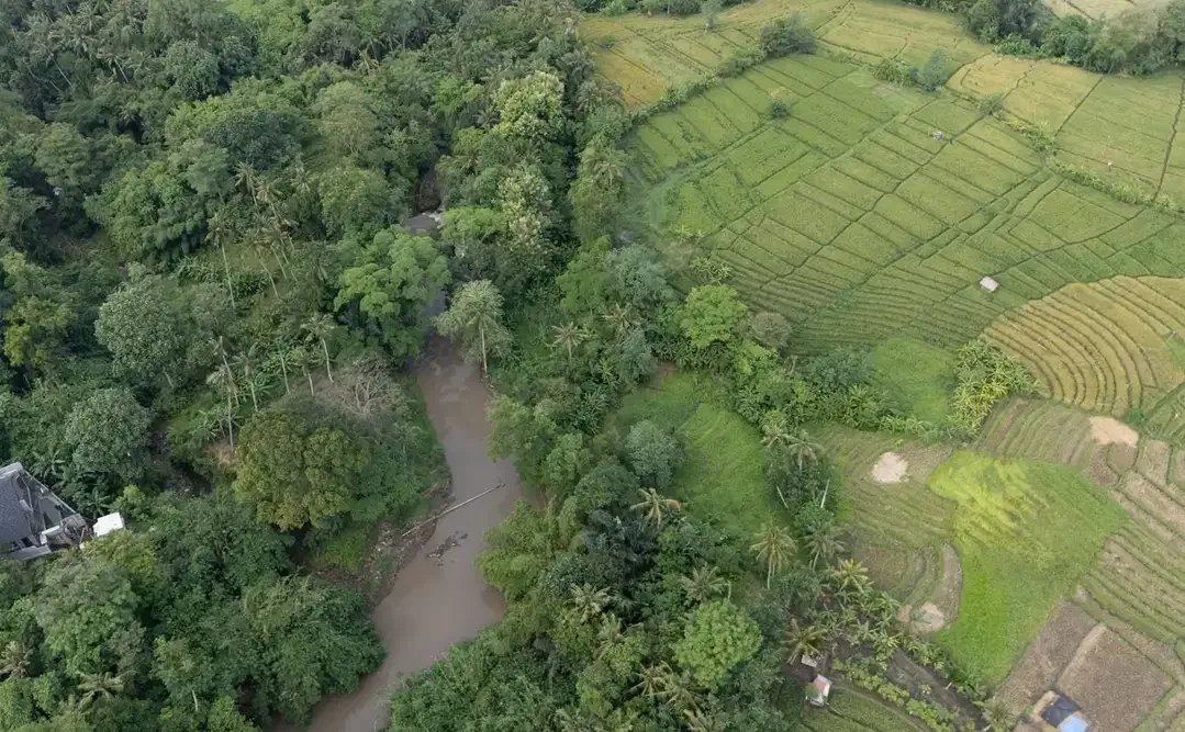 2450 freehold land for sale in kaba kaba grace - Image 2 of 7