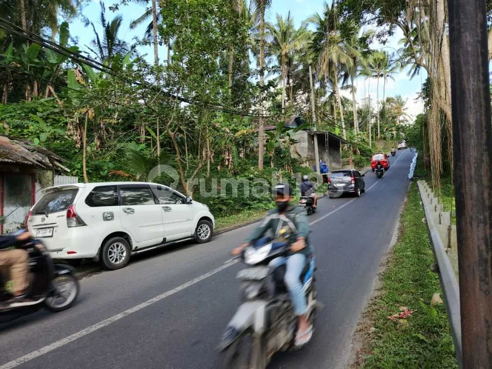 Tanah Komersial Langka Dekat Capella Ubud View Sawah - Image 2 of 4