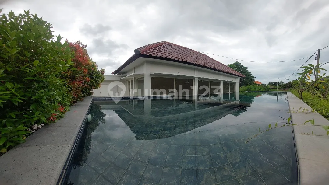 For Rent Brand New Landed Apartment 2Bedroom Non Furnish At Bale Village Canggu Furnished - Image 3 of 4