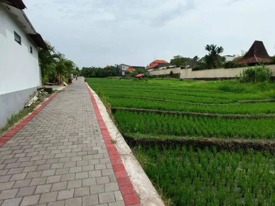 VILLA MODERN WITH RICE VIEW DI CANGGU BADUNG - Image 9 of 9