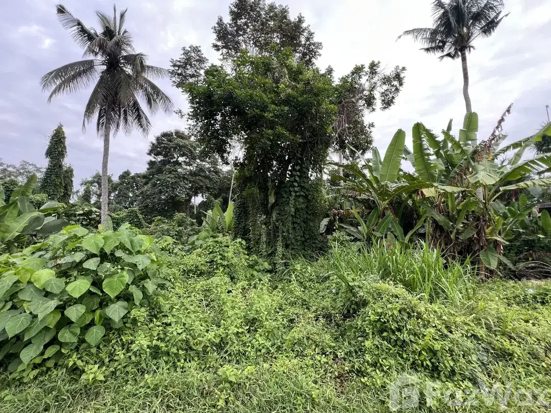 Land for sale in Ubud, Bali - Image 5 of 5