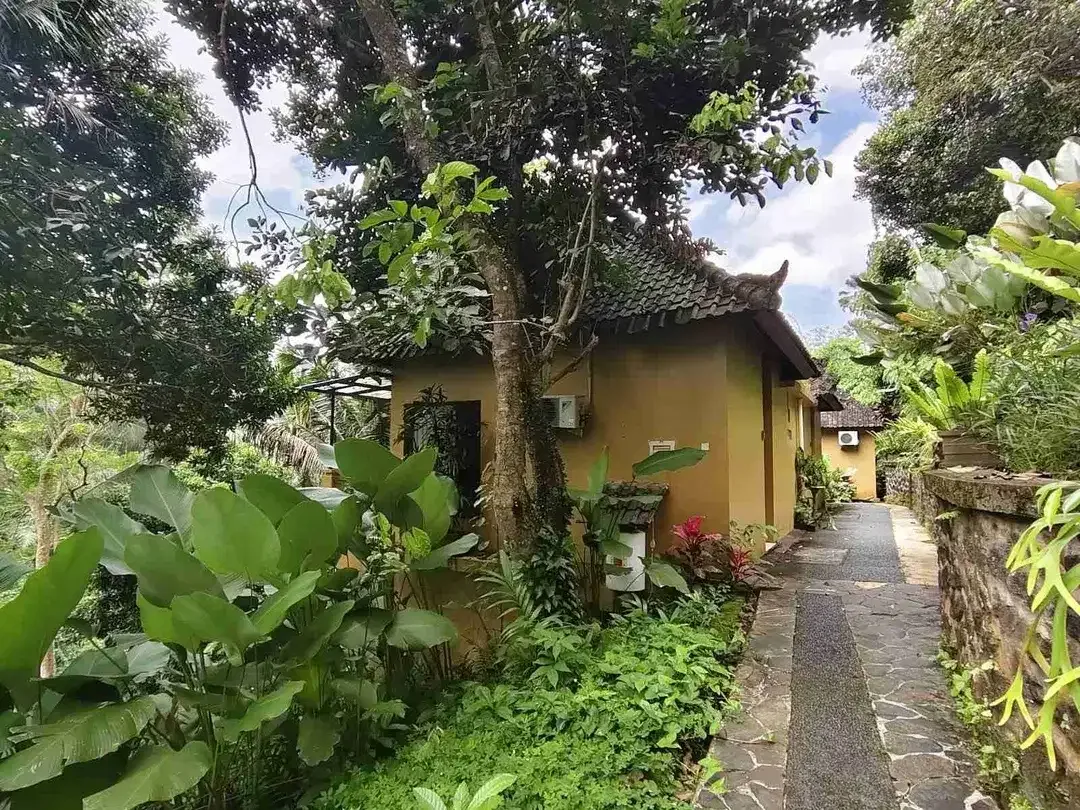 Dijual Cepat Tanah Bonus Bangunan Hotel di Kedewatan Ubud - Image 9 of 10