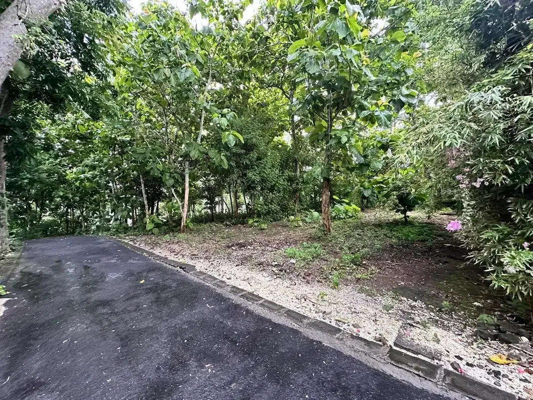 Tanah MURAH Lingkungan Villa Jl Belimbing Sari Pecatu - Image 7 of 10