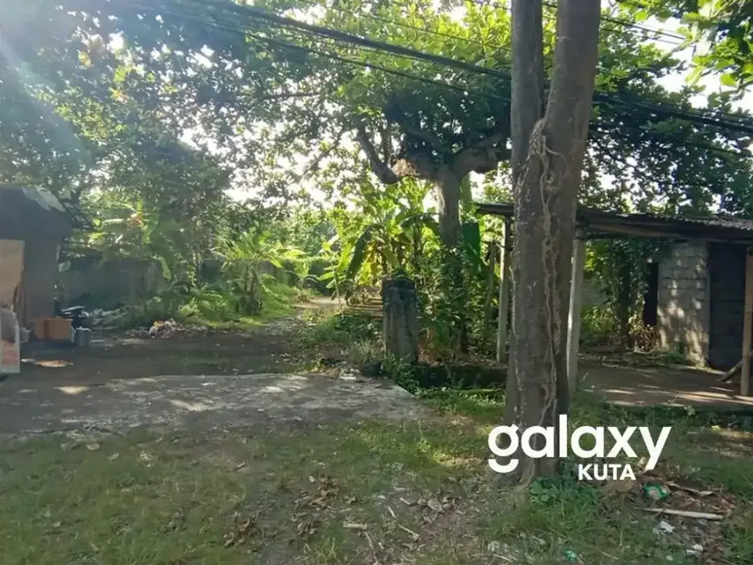 JUAL SEWA TANAH IDA BAGUS MANTRA TULIKUP GIANYAR - Image 4 of 6