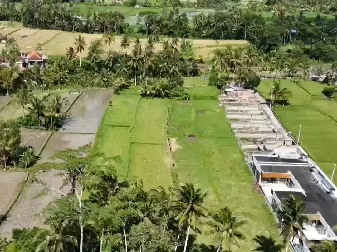 Prime 3.130 sqm of Leasehold Land with Stunning Rice Field Views Ubud - Image 2 of 6