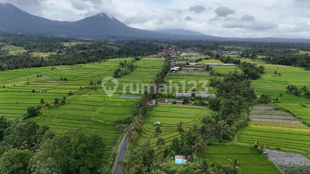 Jual Tanah Luasan Kecil View Sawah Cantik di Tabanan Bali - Image 2 of 4