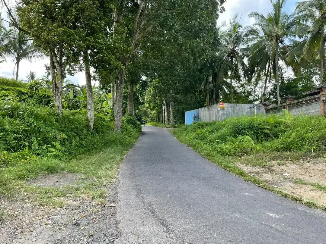 Leasehold land 8857 Sqm In Great Location Ubud - Image 4 of 10
